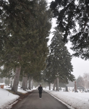 Salt Lake City Cemetery
