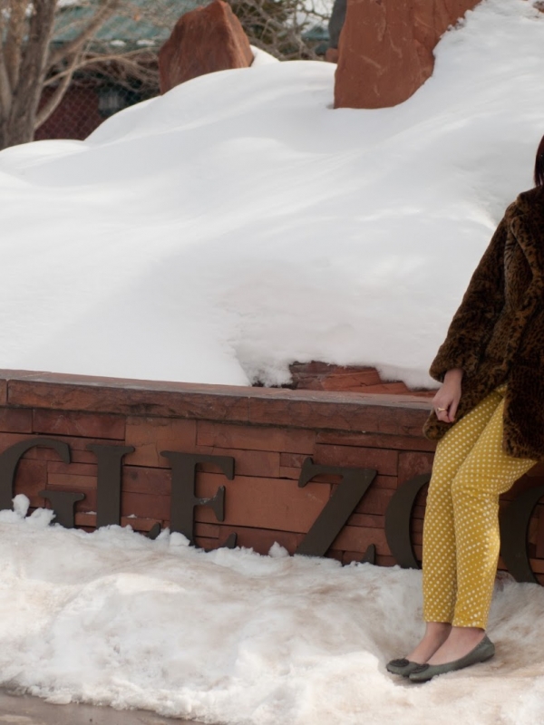 A bday afternoon at Hogle Zoo