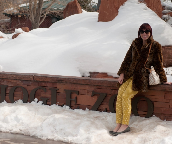 A bday afternoon at Hogle Zoo