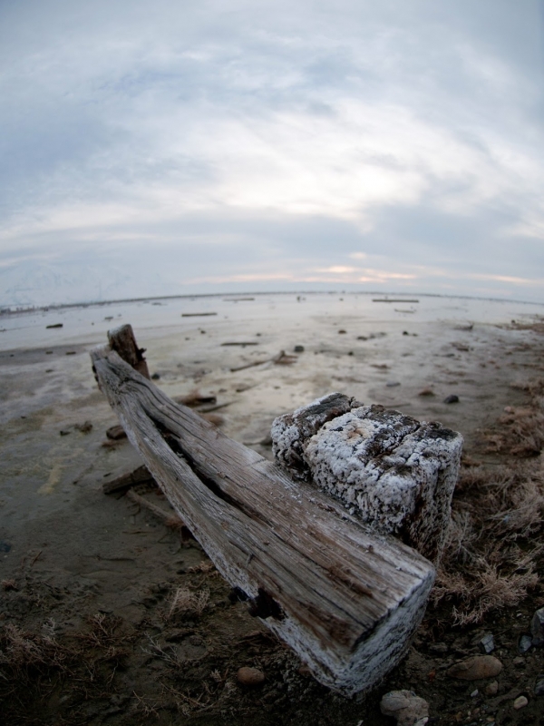 The Great Salt Lake