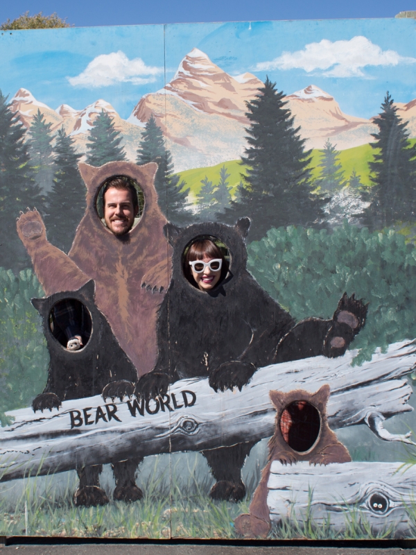 Yellowstone Bear World!