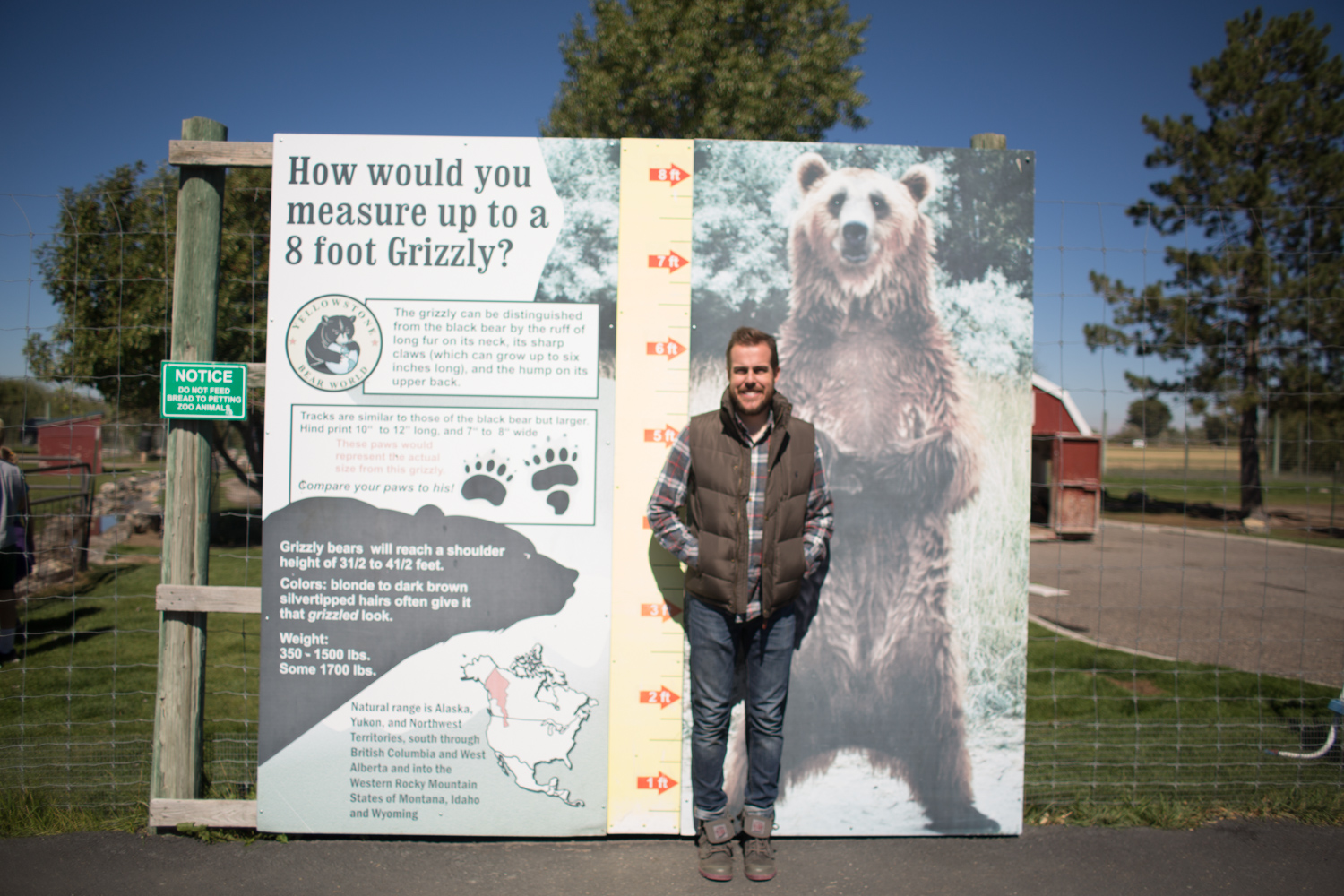 Yellowstone Bear World Review
