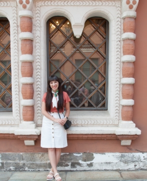 Tretyakov Art Gallery, Saint Basils and The Kremlin