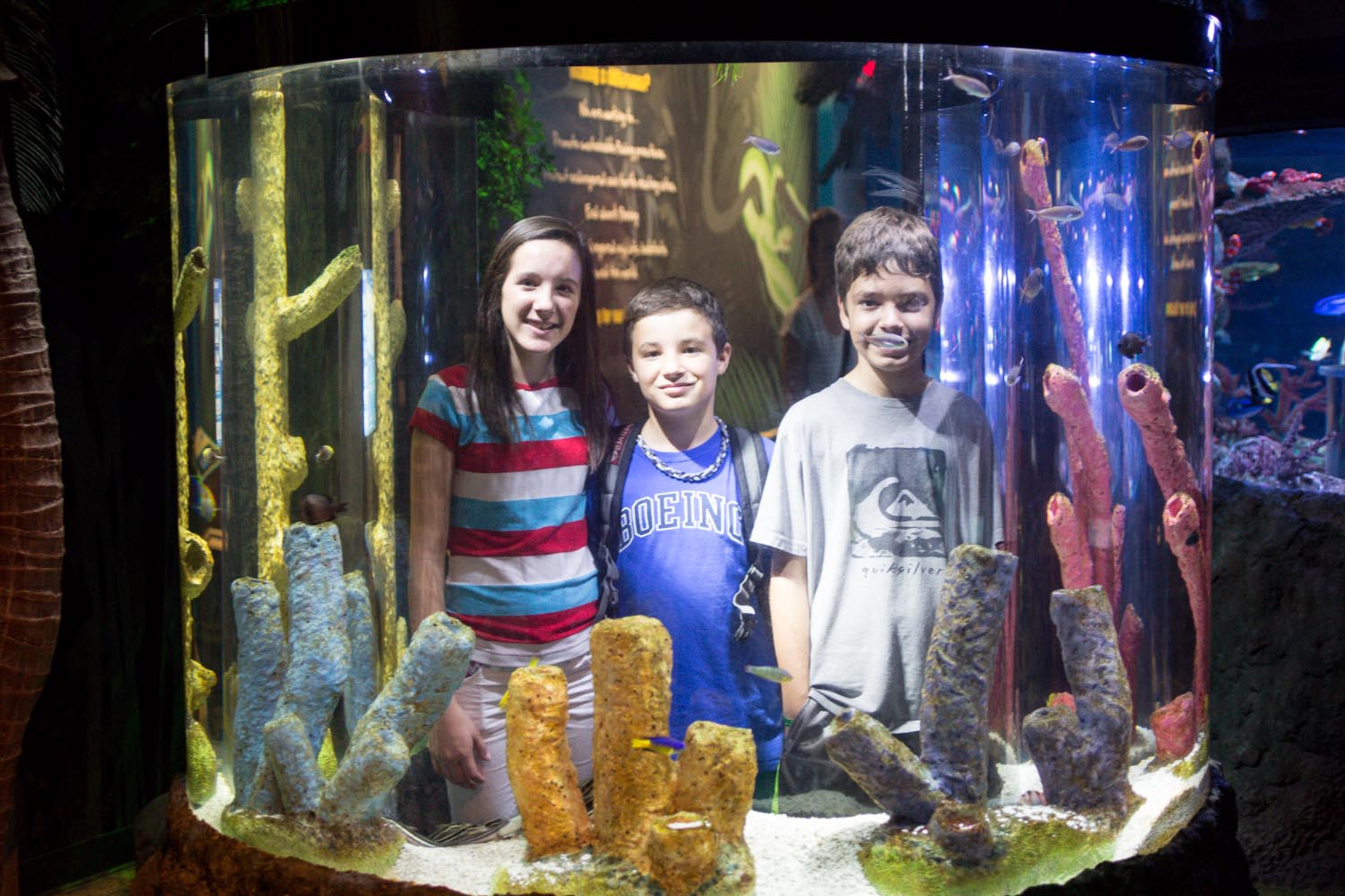 Arizona Sea Life Aquarium 