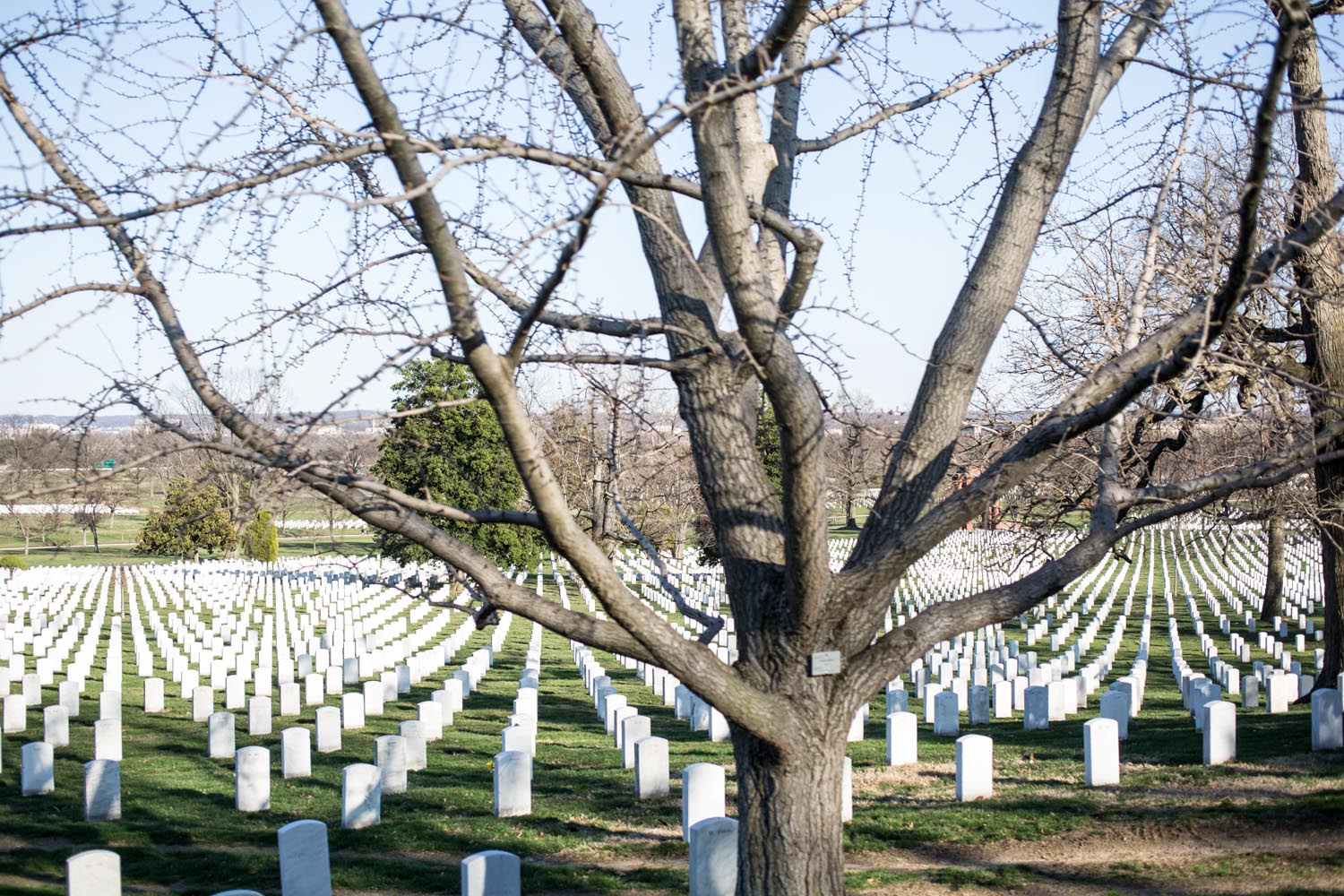 Arlington National Cemetery