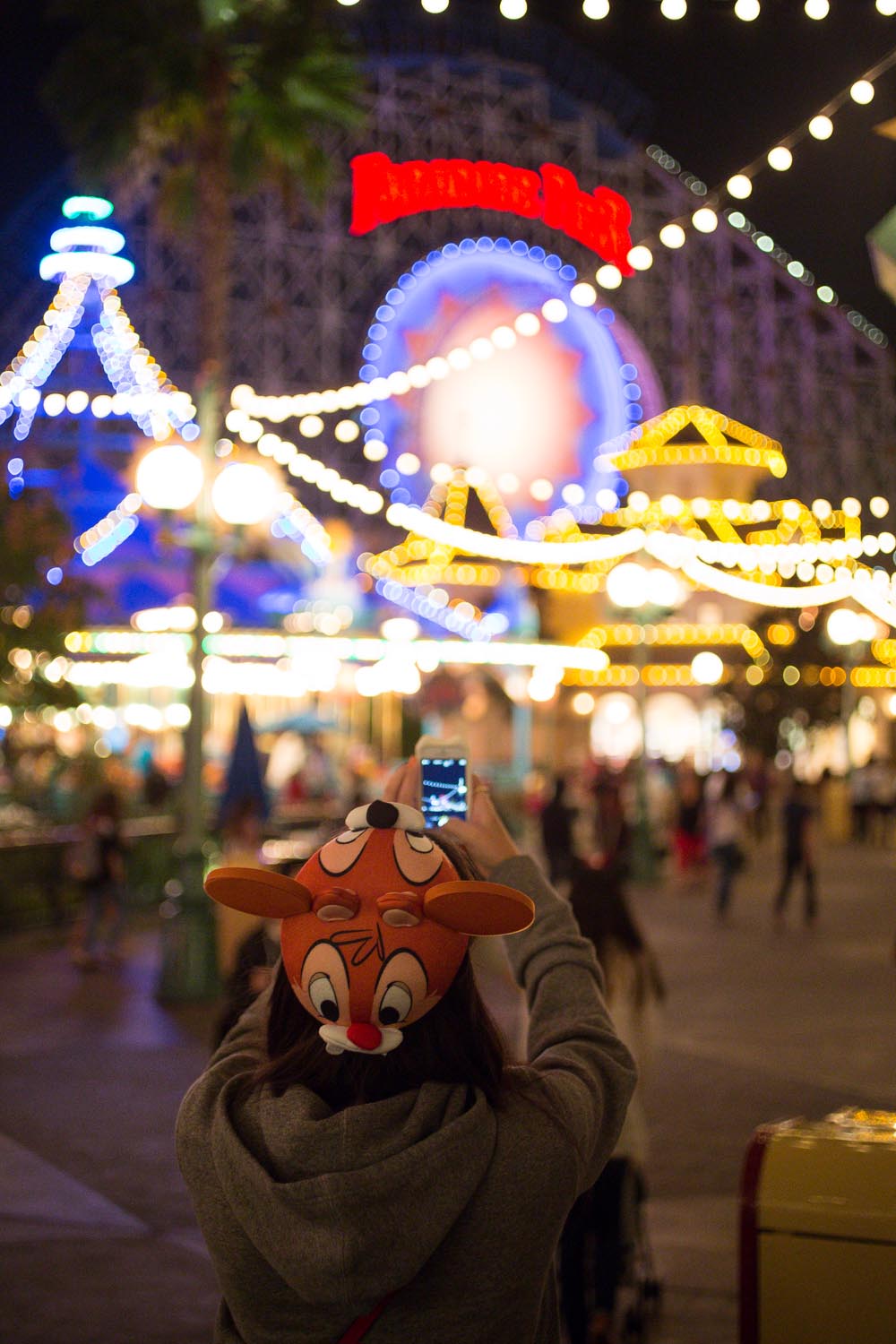 Disneyland's California Adventure California Screaming at Night Time