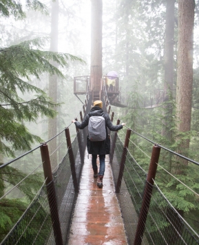 Capilano Suspension Bridge Park + Vlog