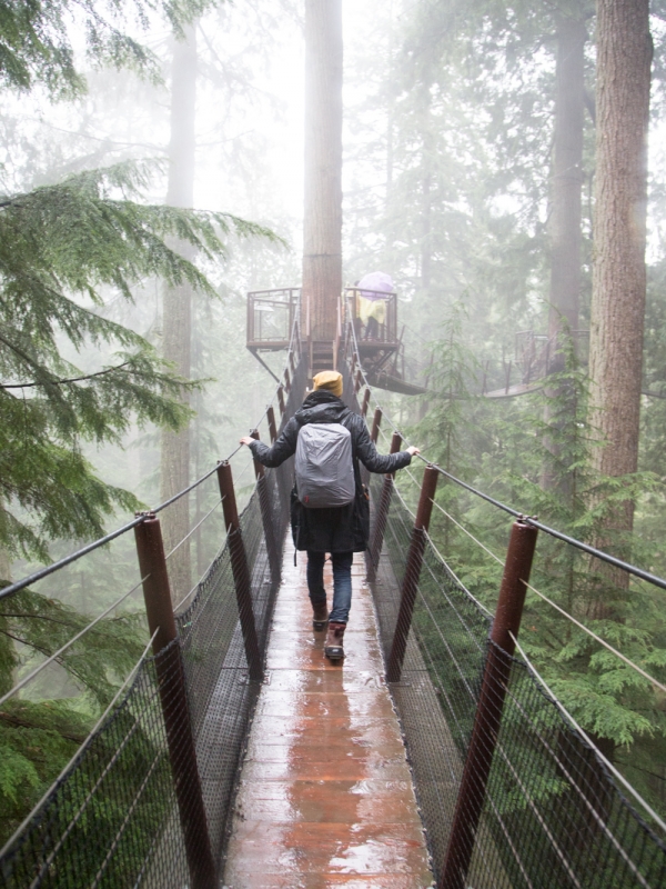 Capilano Suspension Bridge Park + Vlog