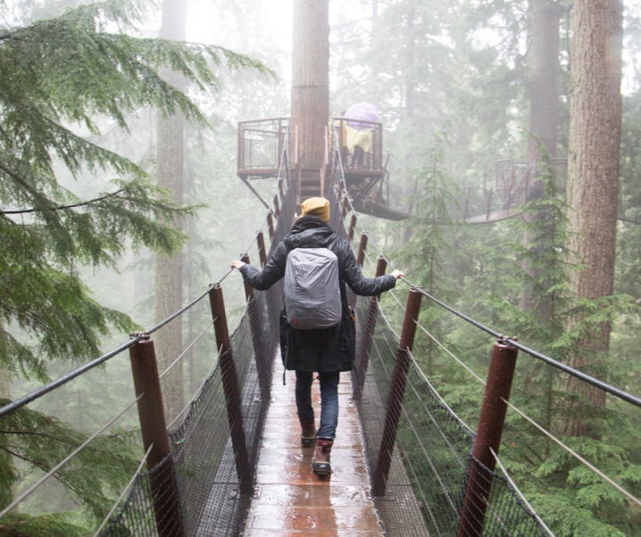 Capilano Suspension Bridge Park + Vlog