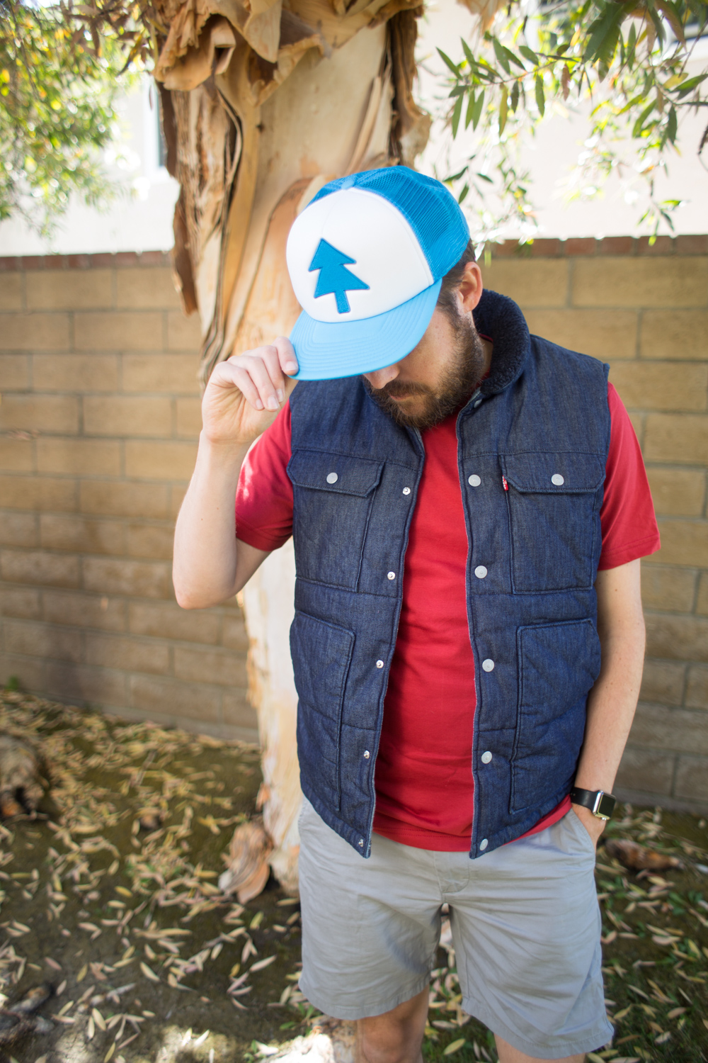 Dipper Pines From Gravity Falls Disney Bounding Outfit