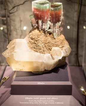 DC Smithsonian Natural History Museum