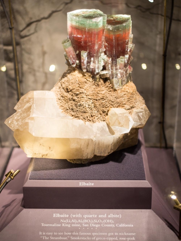 DC Smithsonian Natural History Museum