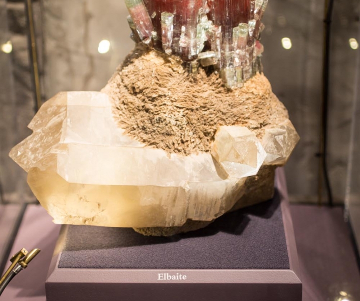 DC Smithsonian Natural History Museum