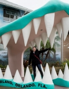 Finding the Perfect Shoe