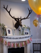 Spring is in the air