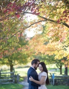 Sunset Horse Ride on the Beach
