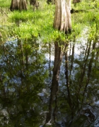 Put a Pretzel on It!