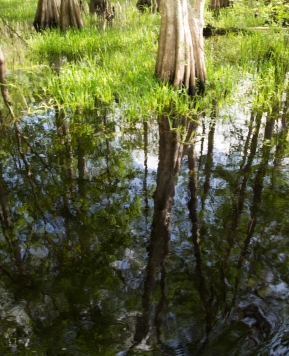 Timpanogos Cave National Monument