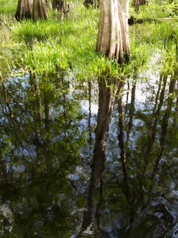 Timpanogos Cave National Monument