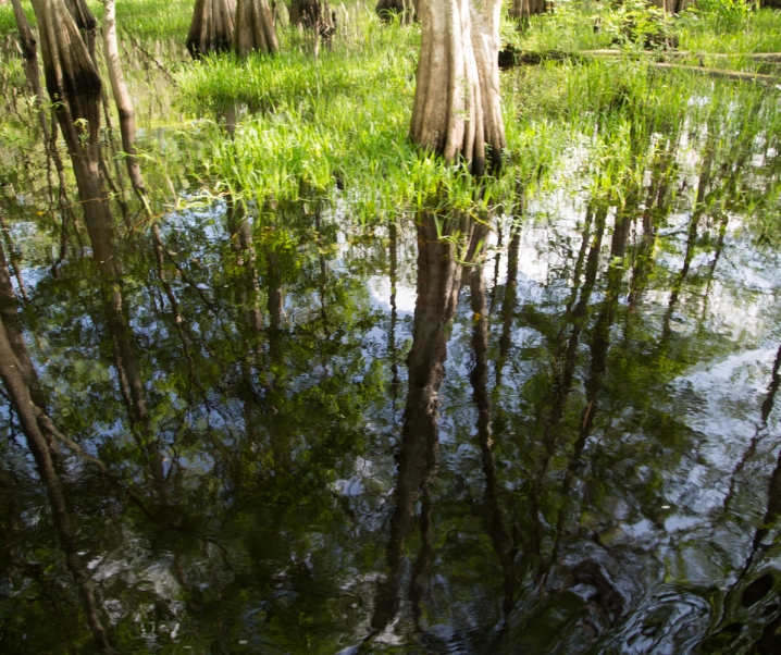 Timpanogos Cave National Monument