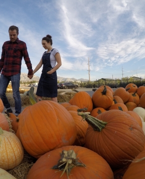 Peter, Peter Pumpkin Eater