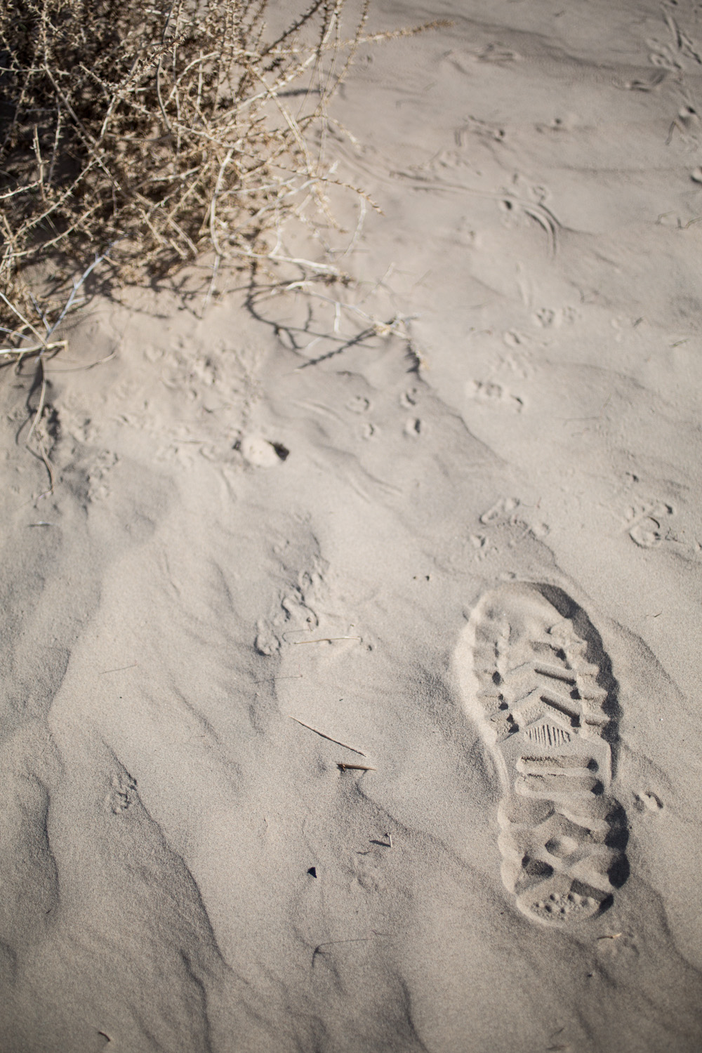 Palladium Boot footprint in the sand