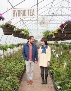 You are the Pineapple of my eye