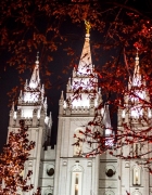 Plaid, Tulle and Bows