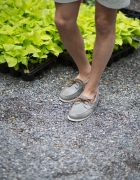 On The Side of the Road