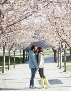 Little House on the Prairie