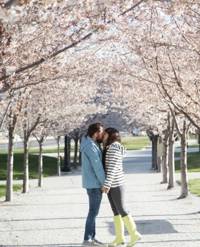 Blossoms at the Utah State Capitol