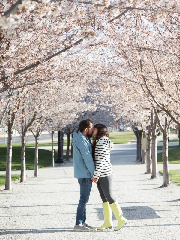 Blossoms at the Utah State Capitol
