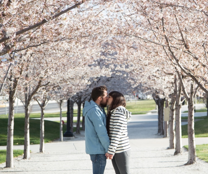 Blossoms at the Utah State Capitol
