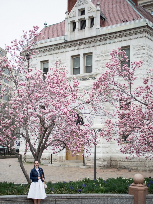 Playing in the Blossoms